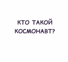 Мы – профи!